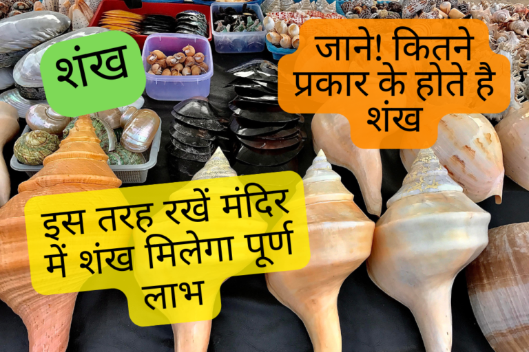 Shankh