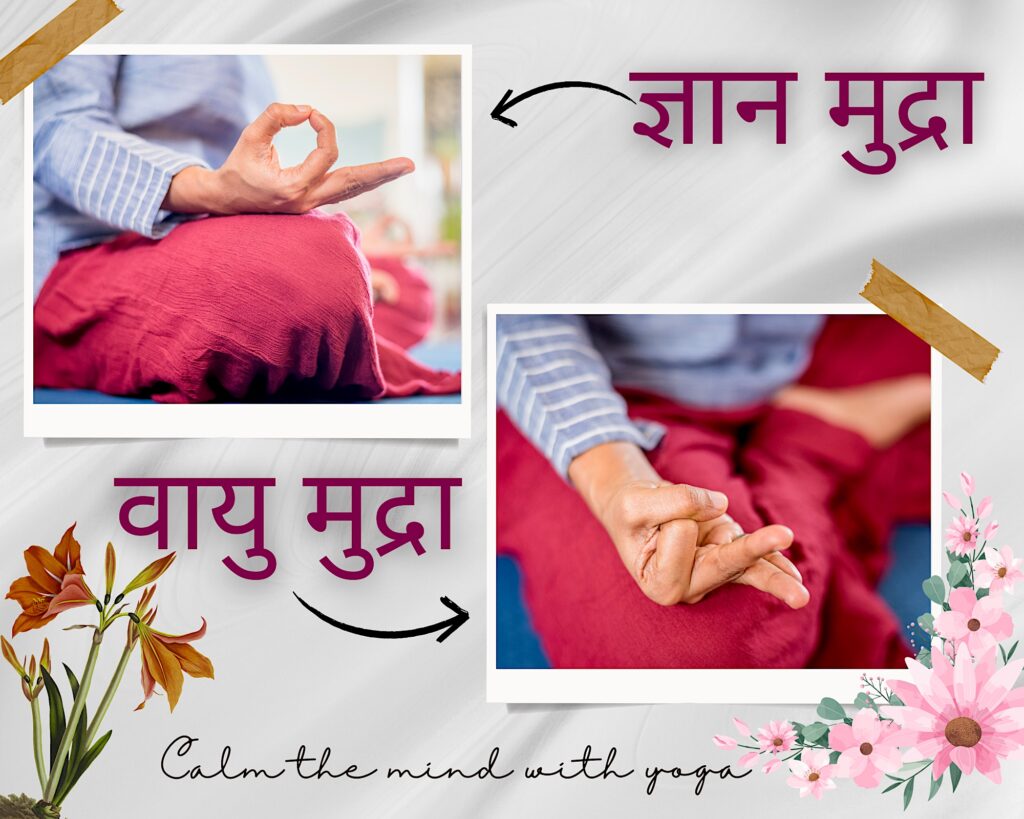 Gyan Mudra Vayu Mudra